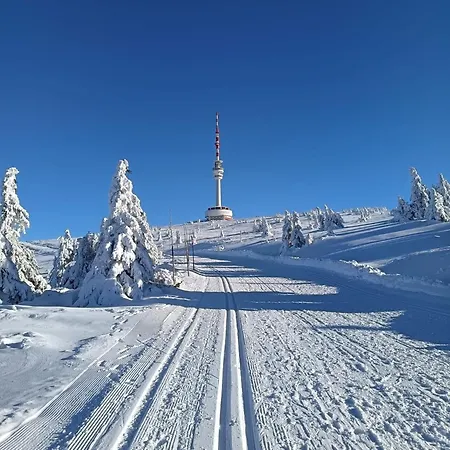 U Rodinky 3* Bela pod Pradedem